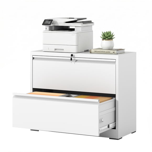 Omethey 2 Drawer Lateral File Cabinet with Lock, Metal Filing Cabinet for Home Office, Printer Stand, Fits A4/Letter/Legal Size File Folders, Assembly Required