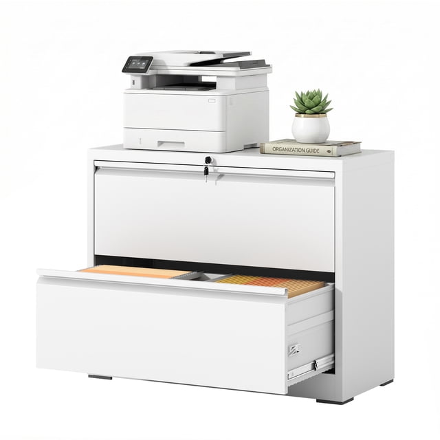 Omethey 2 Drawer Lateral File Cabinet with Lock, Metal Filing Cabinet for Home Office, Printer Stand, Fits A4/Letter/Legal Size File Folders, Assembly Required