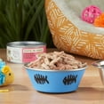 thumbnail image 3 of (6 pack) Special Kitty Chicken & Salmon Flavor Gravy Wet Cat Food, 5.5 oz., 3 of 12