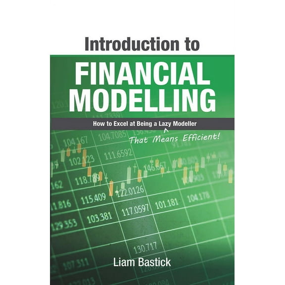 Introduction To Financial Modelling: How to Excel at Being a Lazy (That Means Efficient!) Modeller, (Paperback)