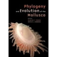 thumbnail image 1 of Pre-Owned Phylogeny and Evolution of the Mollusca (Hardcover) by Winston Ponder, David R R Lindberg, 1 of 1