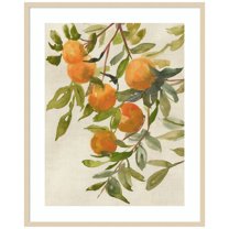Amanti Art Branch of Oranges I Wood Framed Wall Art Print