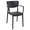 Black, variant on Compamia Lisa Outdoor Dining Arm Chair in Taupe Finish