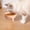 D, variant on Elevated Pet Bowl with Spine Design High Feet Cute Dog Cat Food and Water Feeder Dish for