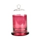 thumbnail image 5 of Candelabro de cúpula de vidrio cloche con asa en la parte superior, cúpula de campana de vidrio con base para Rosa roja, 5 of 9