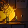 thumbnail image 2 of Sunset Light Projector Lamp - USB Sunset Projection LED Night Light with 180° Rotation - Height-Adjustable Network Red Decorative Lights, Romantic Modern Floor Light for Living Room Bedroom, 2 of 5