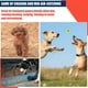 thumbnail image 3 of Pelotas de tenis AMA SPORT para mascotas 12 unidades 5 cm Juguetes para perros pequeños, 3 of 7