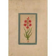 Bnf Botanique: Carnet Lign Fleur 1, Miniature Indienne 18e Sicle (Paperback)
