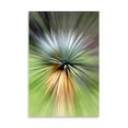 thumbnail image 2 of Gango Home Decor Mountain Yucca by Douglas Taylor (Printed on Paper); One 24x36in Fine Art Paper Giclee Print, 2 of 4
