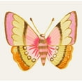 thumbnail image 2 of Del Sol, Ani 27x26 Black Ornate Wood Framed with Double Matting Museum Art Print Titled - Bright Butterfly, 2 of 4