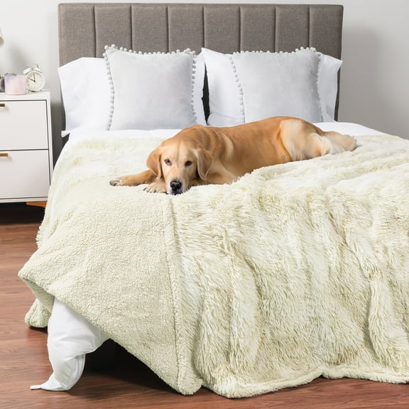 PetAmi WATERPROOF Dog Blanket For Large Dog, Calming Pet Blanket Bed Couch Cover Protector, Washable Sherpa Faux Fur Throw for Sofa Furniture Protection, Soft Fluffy 60x80 Cream Beige
