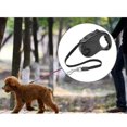 thumbnail image 1 of Bird cage bird baths pet retractable leash automatic extending pet walking leads length: 5m black (HHHC), 1 of 3