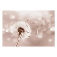 thumbnail image 3 of Tiptophomedecor Floral Wallpaper Wall Mural - Summer Odyssey, 3 of 5
