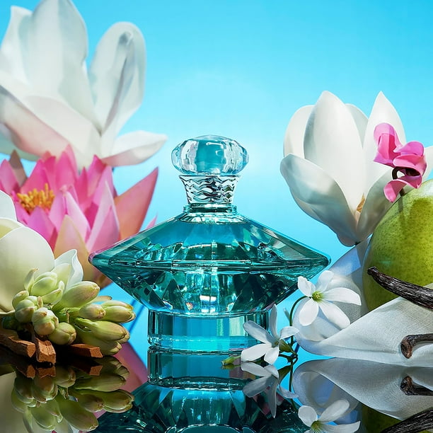 spears curious perfume britney spears perfume walmart