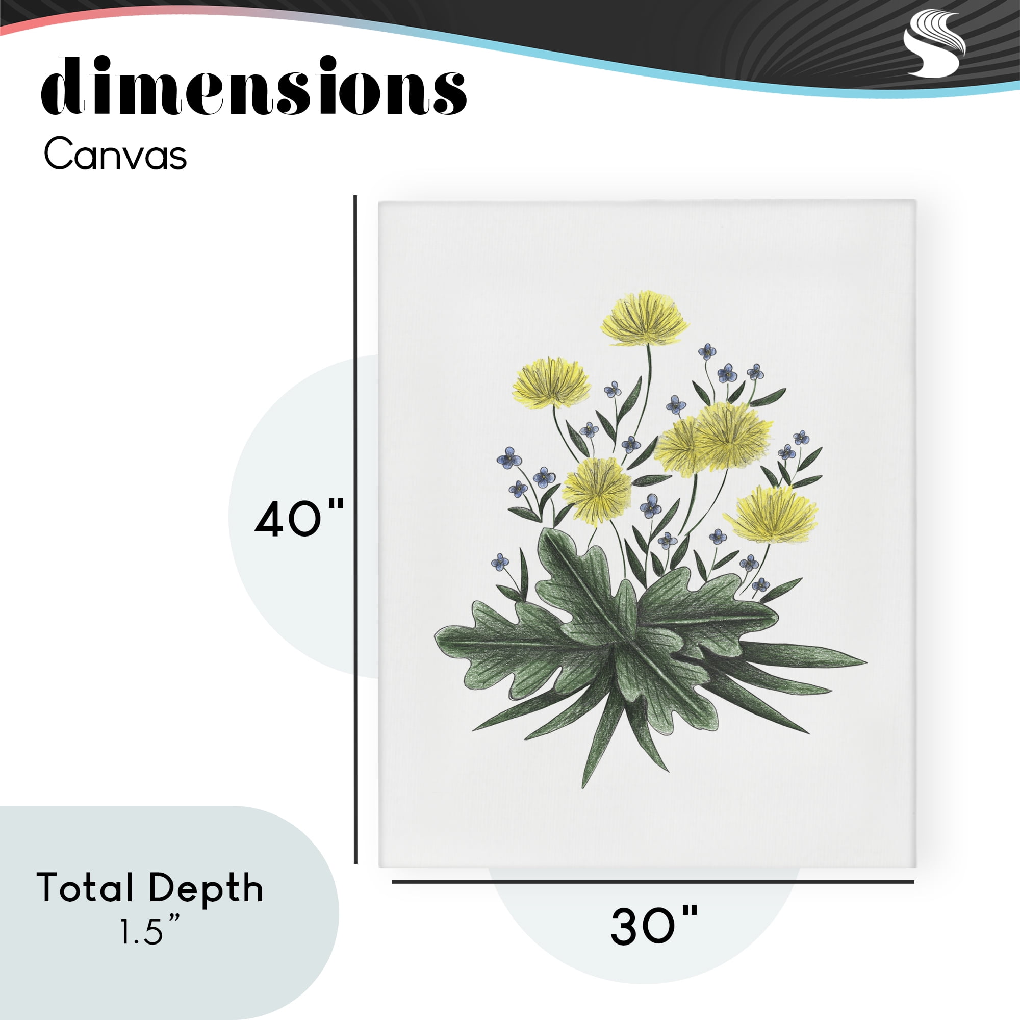 Dandelion Flower Illustration Canvas Wall Art, design by Cecilia Battaini