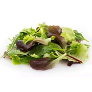 Mixed Greens Lettuce Seed Variety Mix, (Mesclun Mix), 500 Heirloom Seeds Per Packet, Non GMO Seeds