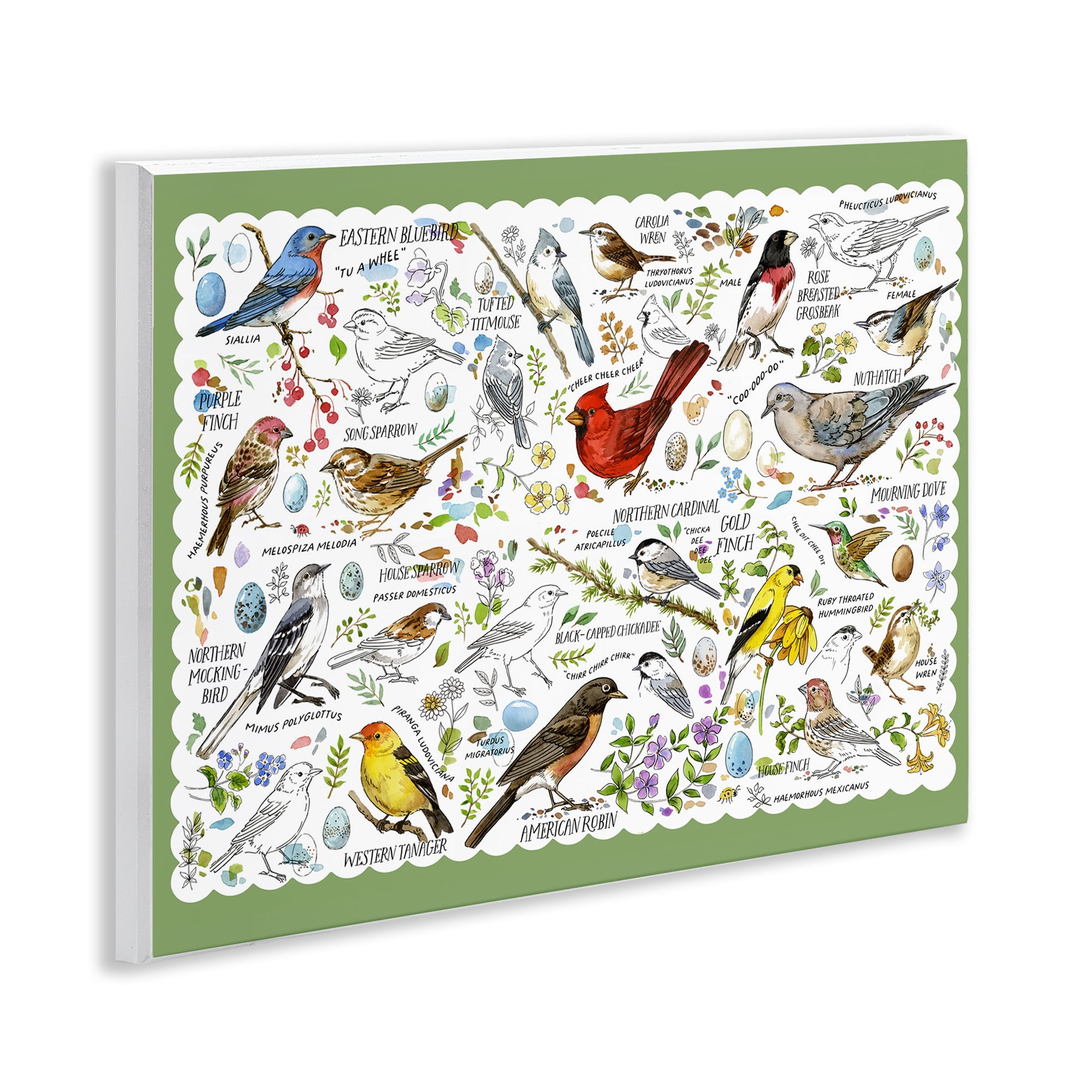 Stupell Industries Various Bird Species Animals & Insects Painting Unframed Art Print Wall Art, 14 x 11