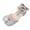 Silver, variant on MZXELPRJD Little Girl Sandals Girl Jelly Sandals Boys Athletic Shoes Dance Shoes Kids Size 2 Boys Shoes Toddler Girl Gifts Age 4-5 Baby Shoes 6-12 Pink 9.5-10 Years