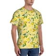 thumbnail image 5 of Rocae Lemon (2) for Men's Moisture-Wicking Crew Tee - T-Shirt for Sports, Outdoor Activities, and Casual WearMedium, 5 of 9