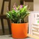 thumbnail image 4 of Maceta redonda de plástico con autorriego y indicador de agua Apuakthei para interior y exterior (naranja), 4 of 5