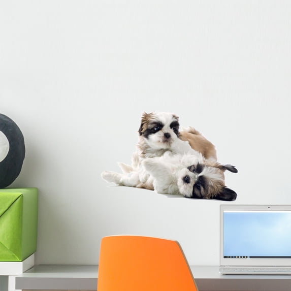 Shih Tzu Puppy Wall Decal by Wallmonkeys Peel and Stick Graphic (18 in W x 12 in H) WM131772