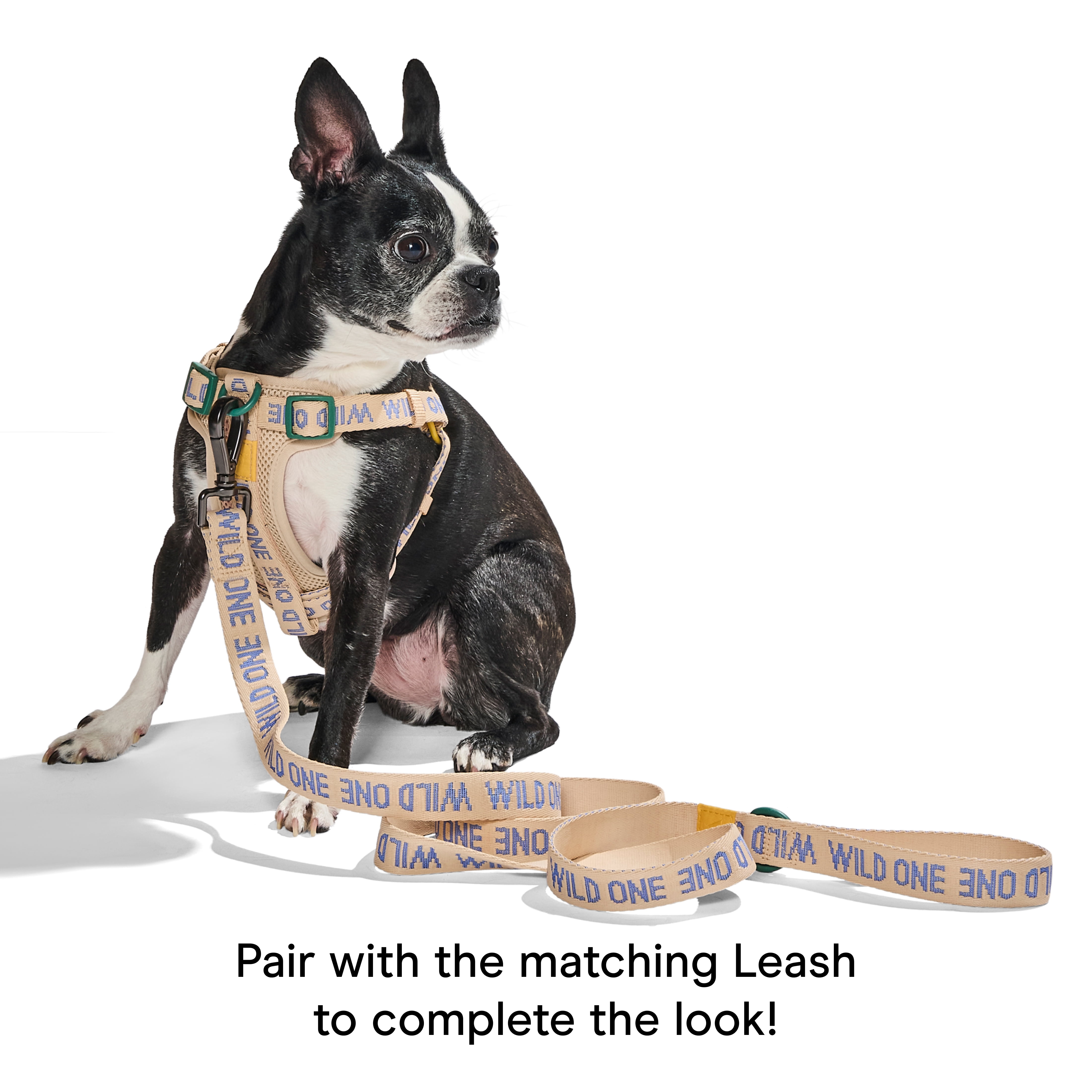Wild One Adjustable Cushioned Step-In Dog Harness, Retro Tan Colorblock, Small