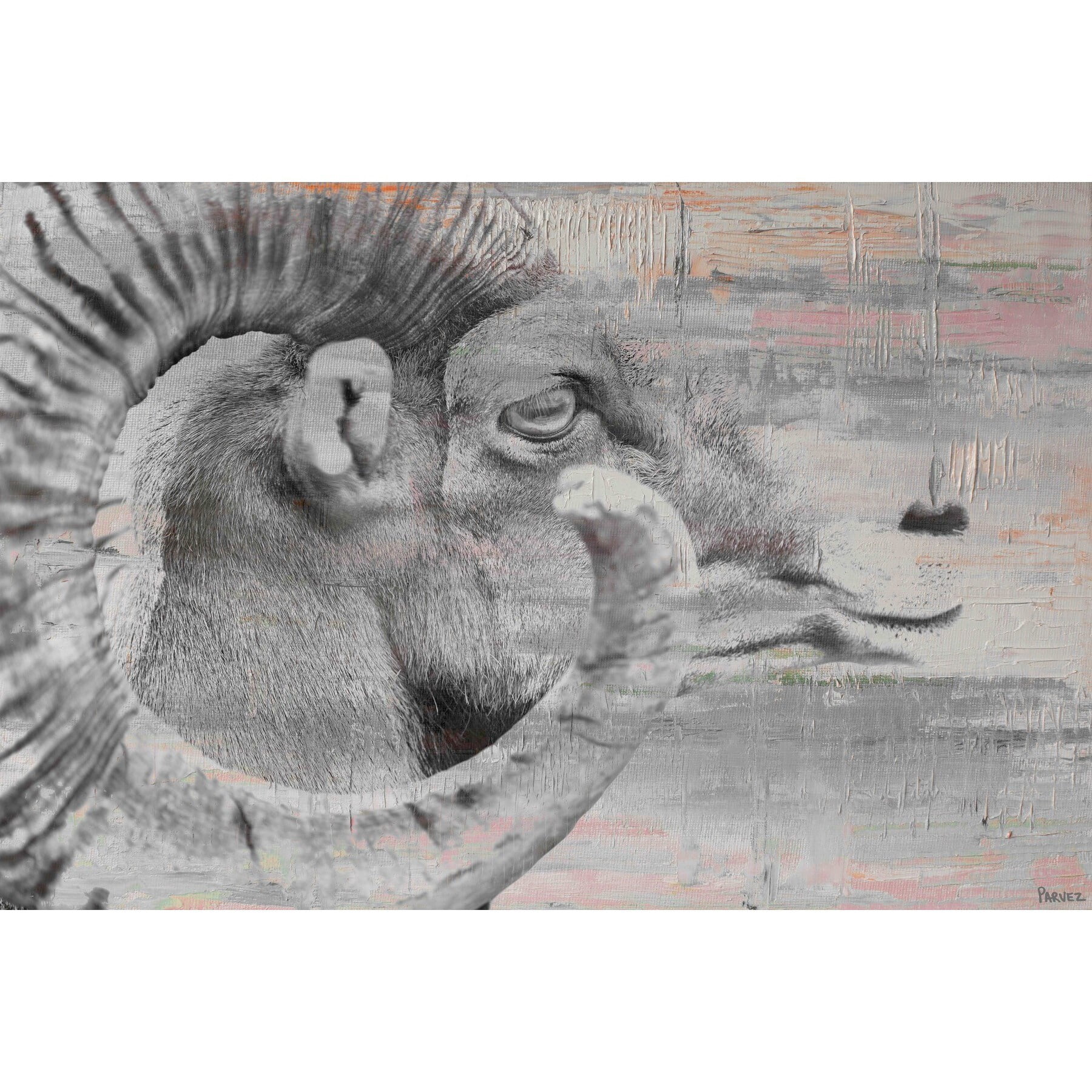 "Eye of Ram" Painting Print on Wrapped Canvas