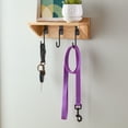 thumbnail image 2 of Vibrant Life 4' Polyester Standard Dog Leash, Purple, 2 of 6
