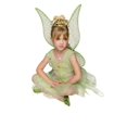 thumbnail image 1 of Disfraz Premium Infantil Rubies Hada De Niña Color Verde Talla:4-6, 1 of 2