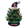 thumbnail image 2 of Illinois Fighting Illini 2-Pack 4" Ceramic LED Christmas Tree Set, 2 of 3