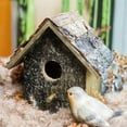 thumbnail image 6 of Birch Wood Decorative Bird House, 6 of 9