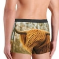 thumbnail image 5 of Daiia Design Name All Over Print Boxer Briefs -Size Name Multicolor Ultra Soft Performance Boxer Briefs, 5 of 9