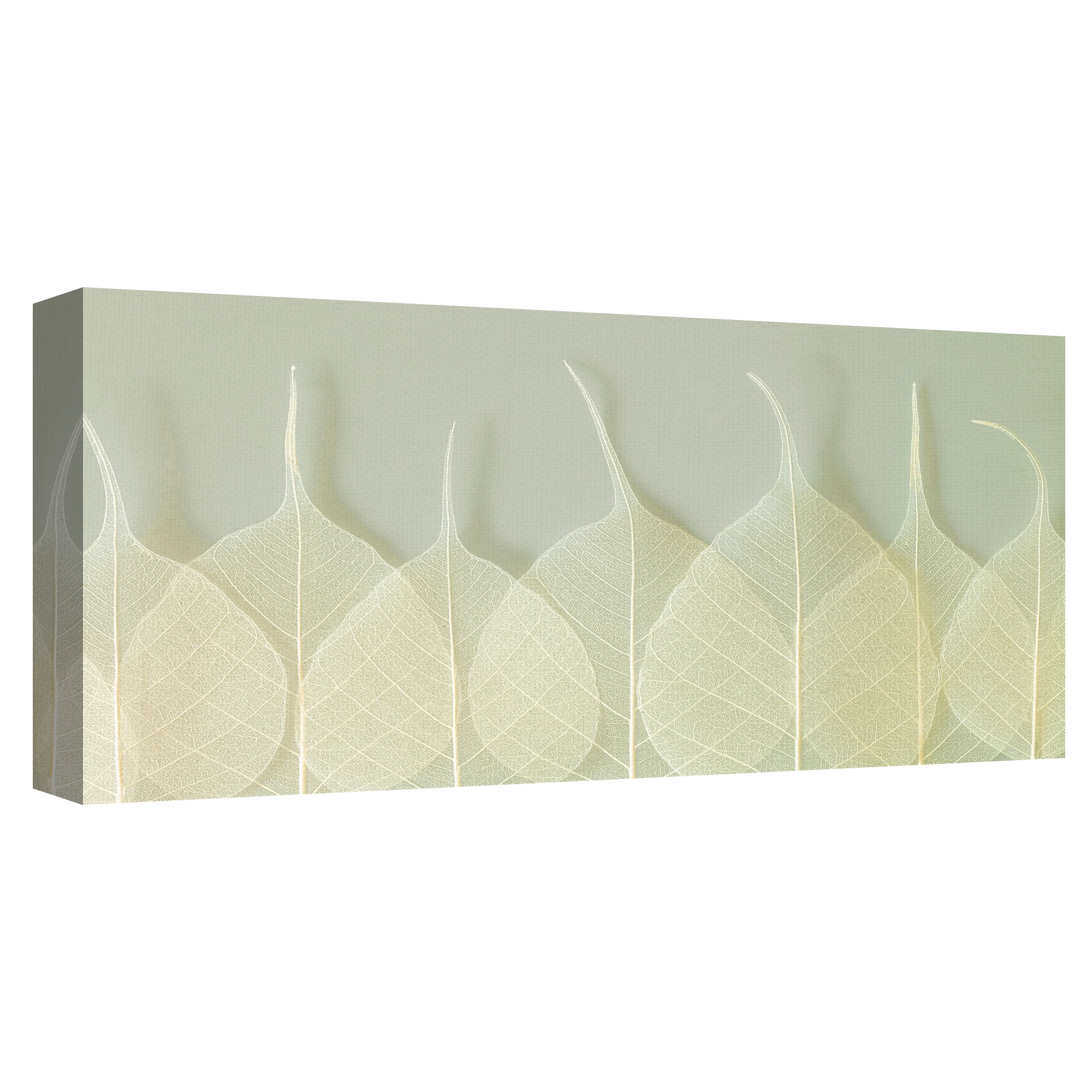 Interlace by Assaf Frank Layered Leaves Canvas Art