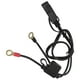 thumbnail image 3 of Cable rápida SAE de 2 pies/cable enchufe de 2 pines/para terminal de motocicleta, Tractor, coche, Zulema Cable de desconexión rápida, 3 of 8