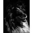 thumbnail image 3 of Chapman, Julie T. 20x24 Black Modern Framed Museum Art Print Titled - Canine Scratchboard XI, 3 of 5
