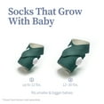 thumbnail image 6 of Owlet SKS6L21BBYH Fabric Accessory Socks for Smart Sock 3 (Deep Sea Green), 6 of 6