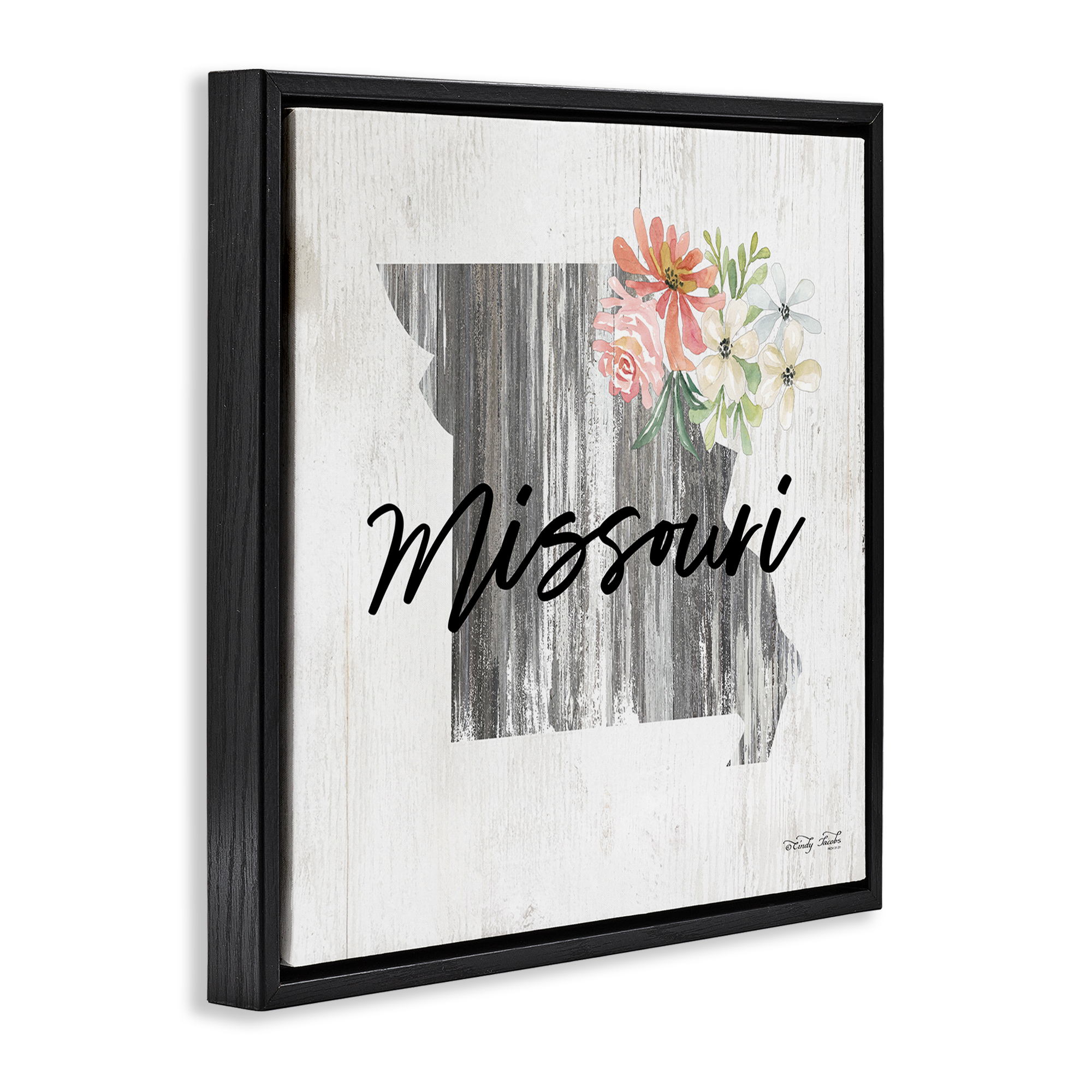 Stupell Industries Shabby Chic Missouri Botanical & Floral Painting Black Floater Framed Canvas Art Print Wall Art, 25 x 25