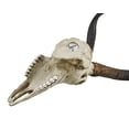 thumbnail image 4 of Veronese Design WU75827VA Kudu Skull Wall Sculpture, 4 of 5