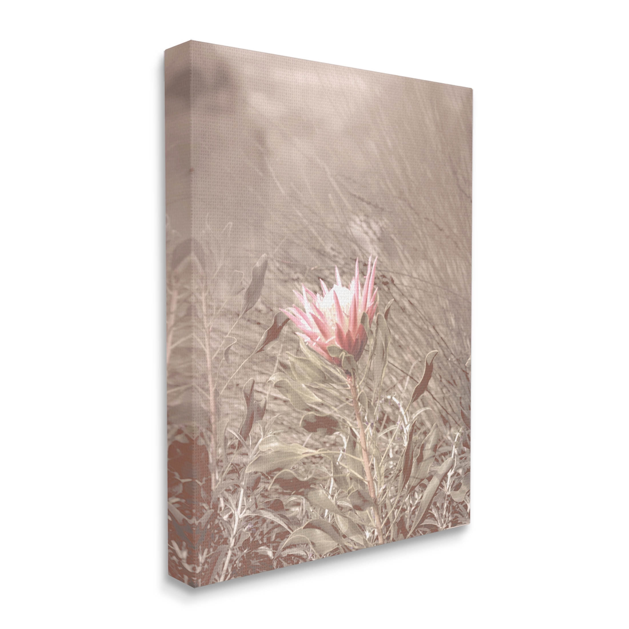 Stupell Industries Lone Pink Flower Grassland Photograph Gallery Wrapped Canvas Print Wall Art, Design by Lil' Rue