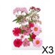 thumbnail image 1 of flores secas prensadas,flores secas prensadas hojas manualidades artesanales,resina vela fabricación de jabón arte de uñas flores secas,flores epoxi prensadas naturales kits de flores de, 1 of 10