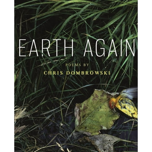 Made in Michigan Writers Earth Again, (Paperback)