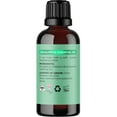 thumbnail image 5 of Maple Holistics Eucalyptus Essential Oil for Aromatherapy, 1 Fl Oz, 5 of 9