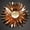 Rose Gold Champagne Gold, variant on Rose Gold 3D Flower Wall Decals Gold Floral Wall Stickers Decor Flowers Wall Decal 3D Flowers for Living Room Girls Bedroom Holographic Stickers Peel and Stick Mural Party Decorations 40pcs