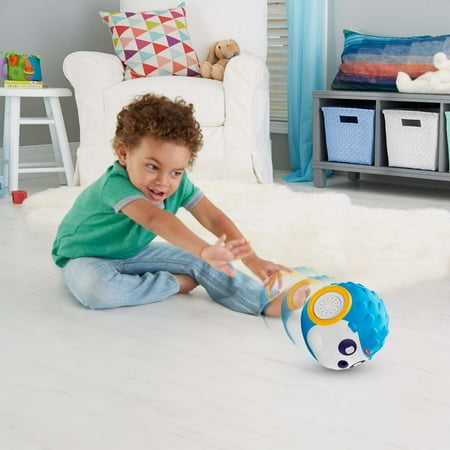 Fisher-Price Think & Learn Rhythm 'n Roll Hedgehog