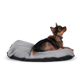 thumbnail image 2 of ALEBRIPETS Cama para Perro, Relleno Fibra de Memoria Fina para Uso Humano Alebripets  Cholula, 2 of 6