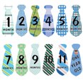 thumbnail image 5 of 12 Sheets/set Baby Monthly Stickers Animal Belly Photographic Props Pregnant Women Newborn Infant Necktie Sticker, 5 of 9