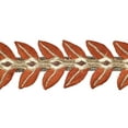 thumbnail image 3 of Vickerman 2.5" x 5 Yards Harvest Leaves Wired Edge Christmas Ribbon., 3 of 3