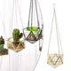 thumbnail image 4 of Terrarios colgantes en diamante para decoración Gloria Terrarios colgantes, 4 of 9