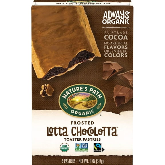 Nature's Path Organic Toaster Pastries Froster Lotta Chocolotta 6 Bars Pack of 2