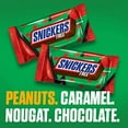 thumbnail image 2 of Snickers Chocolate Candy Tree, Singles (6 Count), 2 of 3